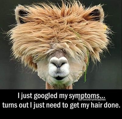 OTsayso's profile picture. Proud to live in the Gippsland of Victoria