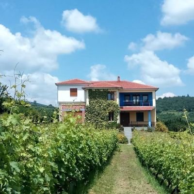 Boutique winery Located in Rodochori-Naoussa 🍷 Founded in 2000 by Dr.Haroula Spinthiropoulou and Panagiotis Georgiadis ! A stunning place to visit !!