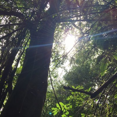 AjaySPanicker's profile picture. Eternal seeker