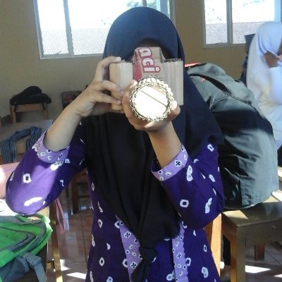 Pelajar biasa