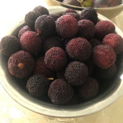 abbby123123's profile picture. 