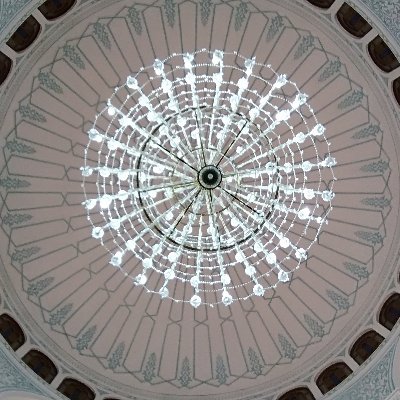 zeelanbashab's profile picture. Friendly person and anti-fascist