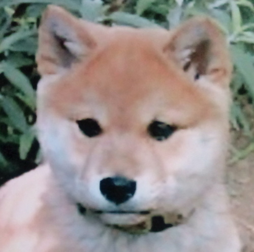 つぶえ 千原ジュニアからノンスタイル井上への その髪型 美容師が途中で死んだの に茶を吹きました 笑 Rt Jironishida ロンハーでノンスタ井上くんが芸人の嫁が選ぶ好きな芸人ワースト 芸人にしたらおいしいことなのね みんな楽しそう つぶえ 千原ジュニアからノンスタイル井上への その髪型 美容師が途中で死んだの に茶を吹きました 笑 Rt Jironishida ロンハーでノンスタ井上くんが芸人の嫁が選ぶ好きな芸人ワースト 芸人にしたらおいしいことなのね みんな楽しそう