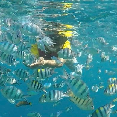 jalueleven's profile picture. faithful. stand for the right things that make sense. Open minded and good sense of humor. Enjoy friendship and of course some tasty culinary 😉