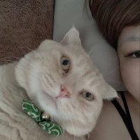 めいさん (@xmocomeicox) 's Twitter Profile