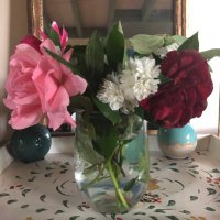 sabine B (@sabineb4) 's Twitter Profile Photo