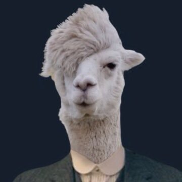 NonBhraminGuy's profile picture. If you follow, you gotta swallow