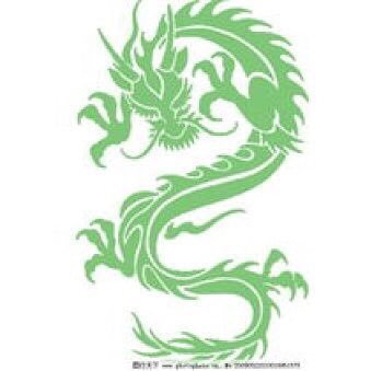 xiaoyunkai1's profile picture. 