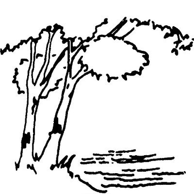 CityofBirchwood's profile picture. This is the official Twitter account for the City of Birchwood Village, Minnesota! 
Please follow us to receive important city updates.