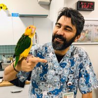Dr. Levent Bayraktar (@drleventb) 's Twitter Profile