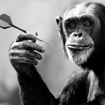 Just a chimp throwing darts at investment strategies and seeing which ones stick