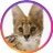 tanoshiku_sumu