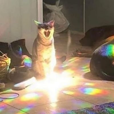 prakarot's profile picture. शाही पहलवान