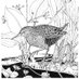The Trap Grounds Local Wildlife Site (@trapgrounds) Twitter profile photo The Trap Grounds Local Wildlife Site (@trapgrounds) Twitter profile photo