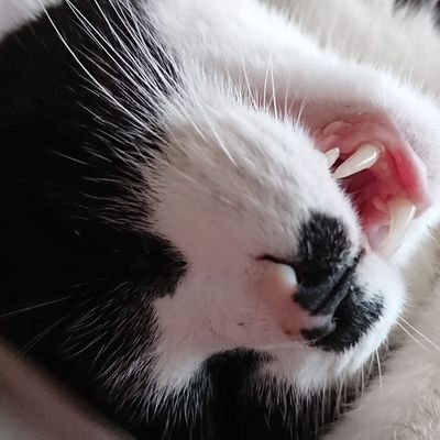 zero_1_base's profile picture. 