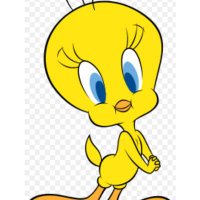Tweety (@tweety_701) Twitter profile photo
