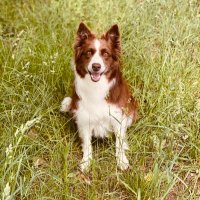 P3pperpot🐾 (@p3pperpot1) 's Twitter Profile