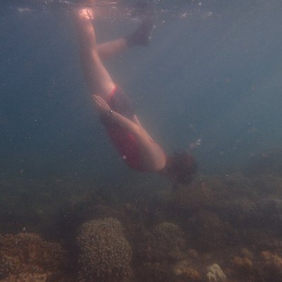 Archeology graduate student at Penn State University 
studying historical use of coral along the Swahili coast.
🤿🐠🌊
Opinions my own.