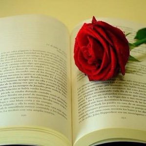 مُعلمة طموحة وقلبي ينبع بالأخلاص والوفاء ، شعاري بالحياة هو التفاؤل والأمل ، ابنة لأعظم أب و أم في الدنيا ، خريجة لغة إنجليزية من كلية التربية بالجبيل ..الدمام