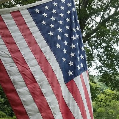 Weseven7's profile picture. Have you had enough  ?