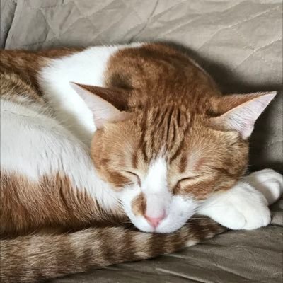 50thave's profile picture.