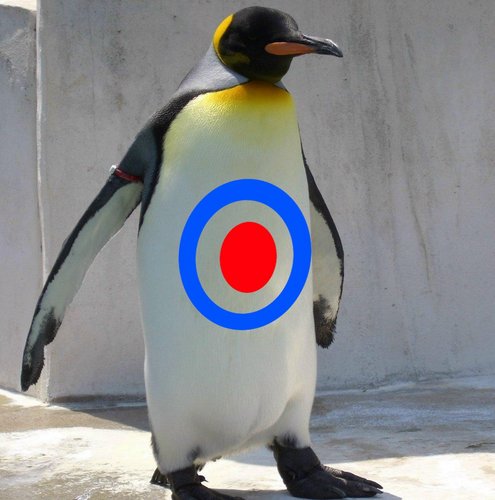 lambretta_150's profile picture. ＷａｔｔｓじゃないよＡｔｔｓだよ。ビールとごはんセットをお願いします。ランブレッタ ベスパ　motoGP　オートバイ全般　６０～７０年代ＵＫロック　モッズ　ドラム　８０年代　ハードロック　メタル　神輿、神社彫刻ニワカです。　