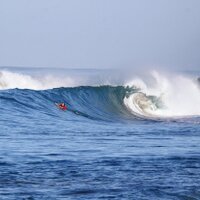 José Piccardo (@labocha) 's Twitter Profile