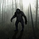 AJ Richardson - @TX_BIGF00T - Twitter