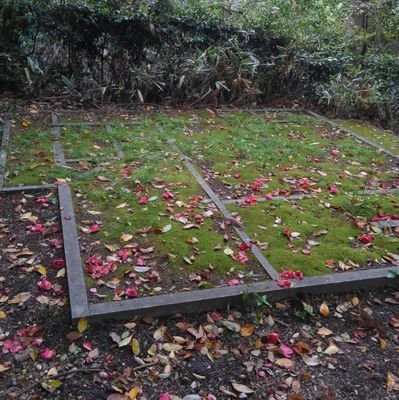 nonnonba_'s profile picture. 猫と芝居と.:*:・'°
劇団青年座俳優☆
11月15日『蛇性の婬〜雨月物語』上演