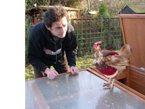 Actor, Writer, Rescuer of Chickens and General Purveyor of Silliness