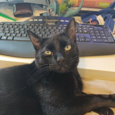 MyattZach's profile picture. 