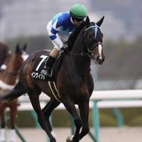 芸能人、芸人、プロ予想家の競馬予想 (@suggestdtpqjkhn) 's Twitter Profile Photo