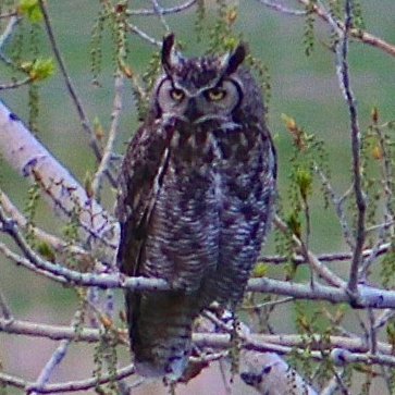 underwlo's profile picture. Prospect Development