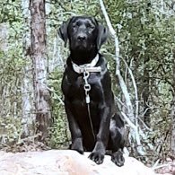 McVol4Life's profile picture. Husband, Father, UT grad, and proud business owner