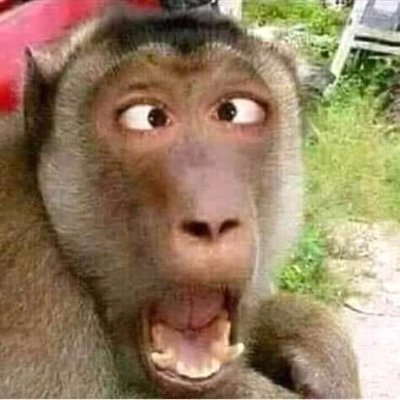 rio_vanta's profile picture. Meet Rio vanta