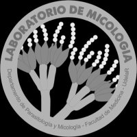 Micología Médica Lab Uy (@medica_uy) 's Twitter Profile