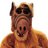 VincentClaveau's profile image
