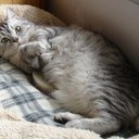 Victor Yuen - @victoryuen13 - Twitter