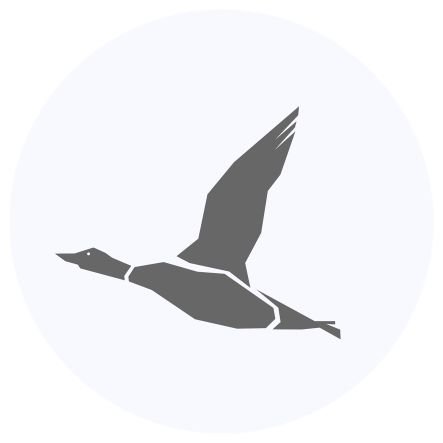 Loonful1's profile picture. The New Hampshire Network