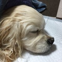 @18sara_2 (@18sara_2) 's Twitter Profile