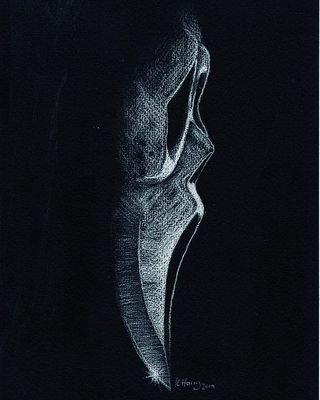 VencentRobles's profile picture. Organic