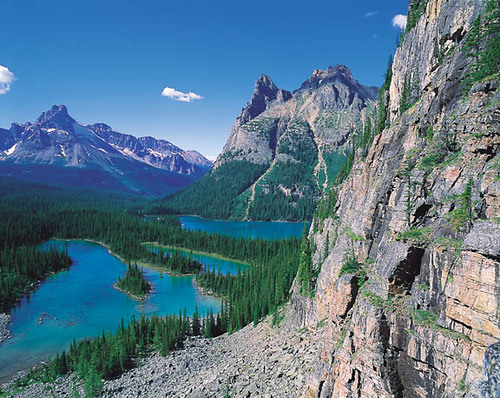 WildBCTours's profile picture. Sightseeing company based out of Vancouver, on Canada's beautiful west coast. Whale watching, glaciers, Rocky Mountains and wine tasting. You should be here!