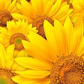 Cheapchicbuy's profile picture. 