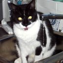 Lesley McLeod - @rk1400 - Twitter