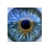 Peter Alsbjer (@peterals) Twitter profile photo Peter Alsbjer (@peterals) Twitter profile photo