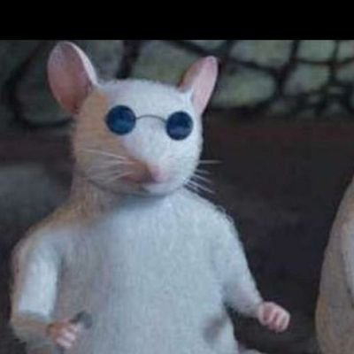 c0ochieslayer45's profile picture. i said what u said💅🧚‍♀️