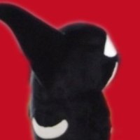 ゆかだん (@yukadan_030731) 's Twitter Profile