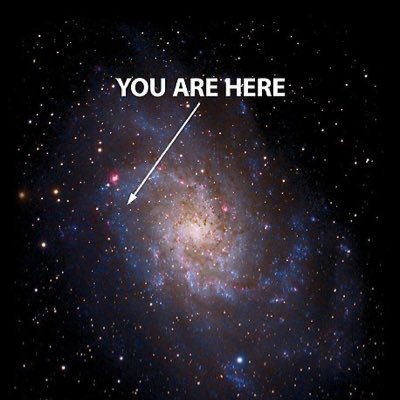 eulerteslaratio's profile picture. seeker of peace, love, and transcendence