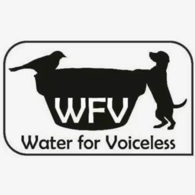 An initiative taken to quench the thirst of stray animals and birds. WFV distributes water bowls free of cost. Join hands in serving #waterforvoiceless