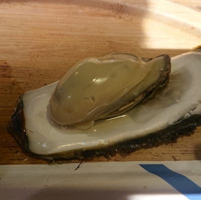 kakitabetai459's profile picture. 結構金使った